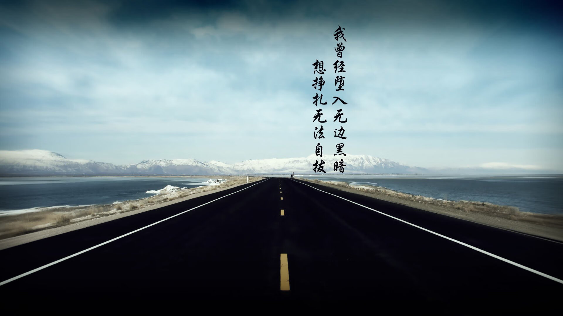 “冠军之路:最完美战术体系助狼队登顶”,助攻王拿总冠军
