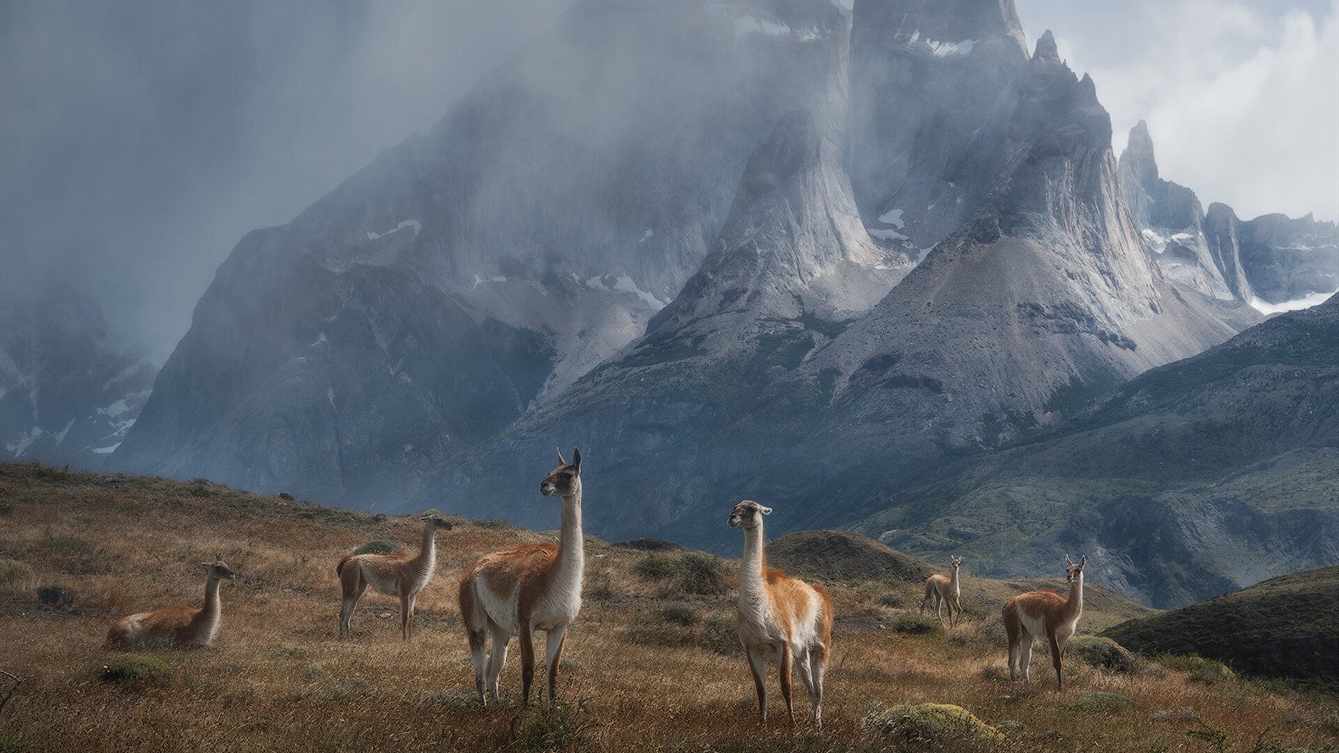 中国男篮集训营春季开启，汇聚新老明星球员，中国男篮集训名单首次调整