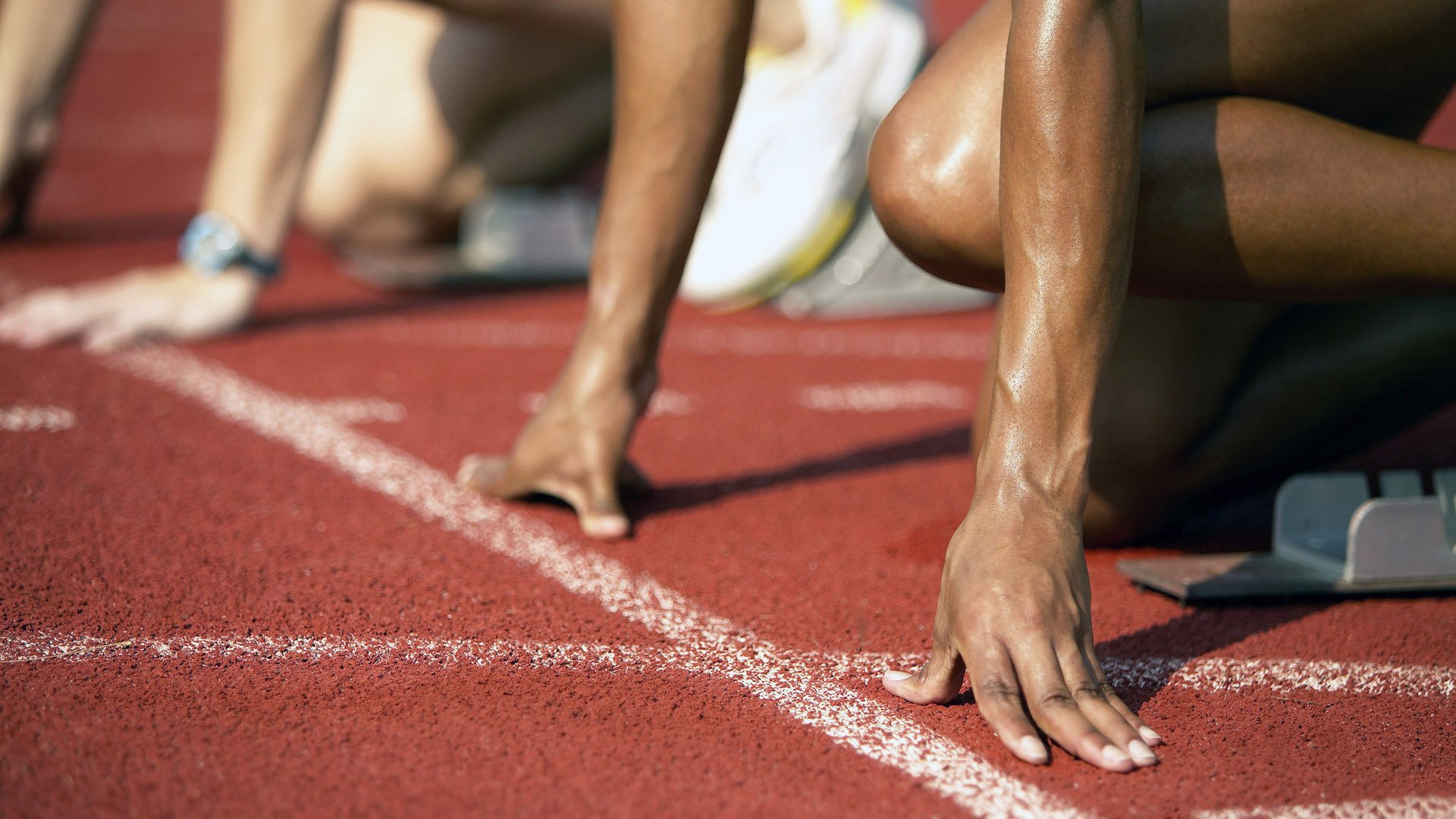 国家田径协会发布跨学科体能评估应用研究成果,体育跨学科融合实施途径