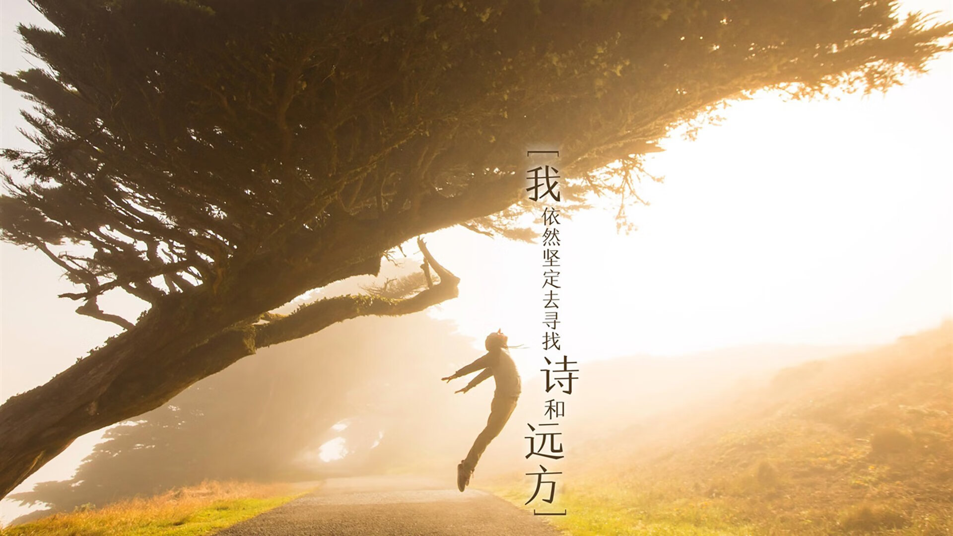 史上最激动人心“冠军夜”:谁的荣耀最闪耀?,荣耀冠军主题曲